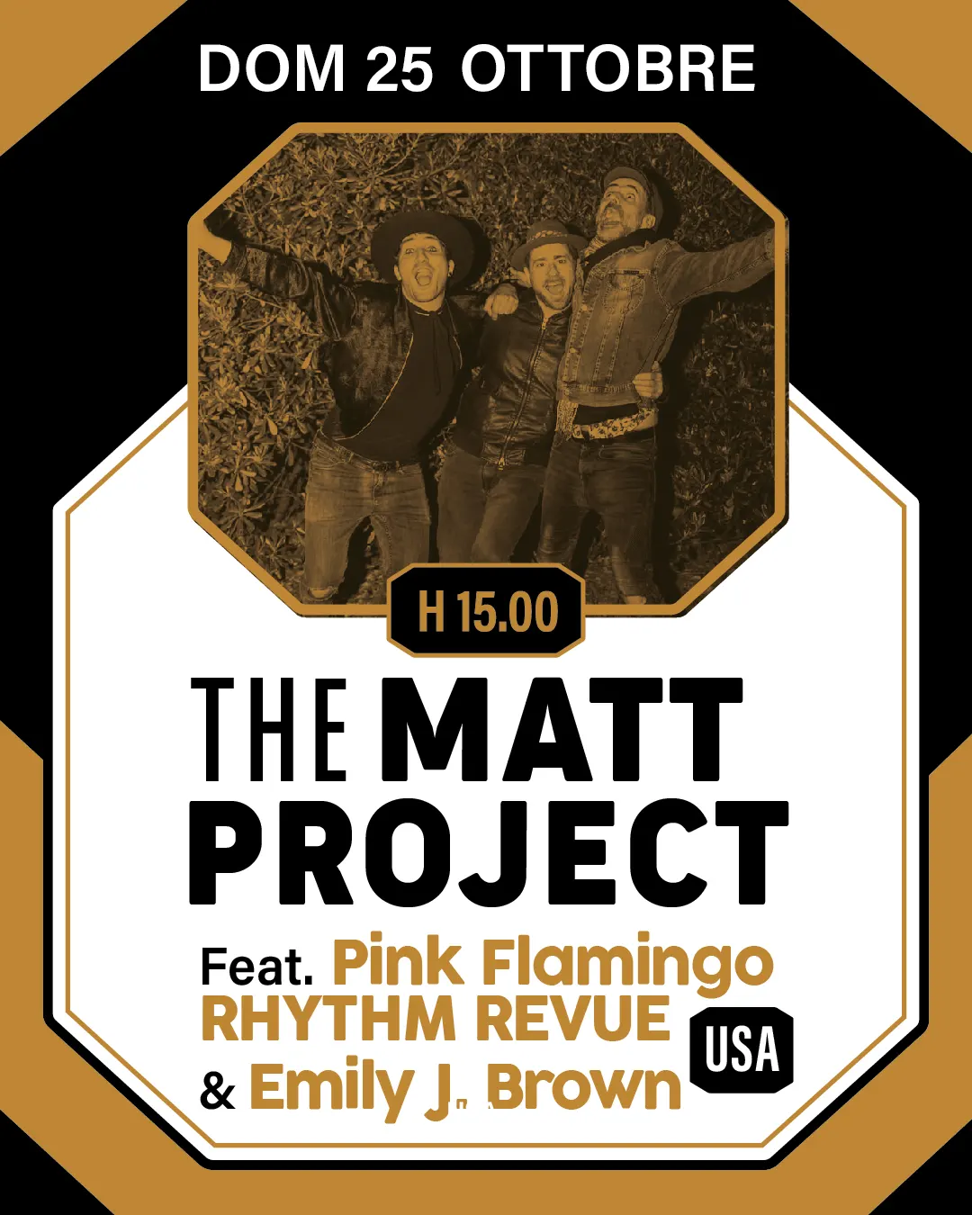 Altra immagine 2: The Matt Project feat. Pink Flamingo Rhythm Revue & Emily J. Brown
